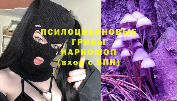 крисы Нефтекумск