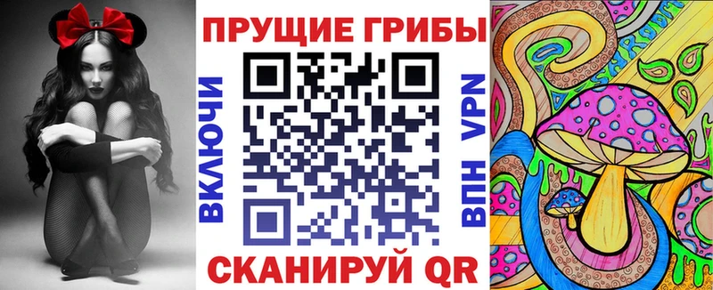 Псилоцибиновые грибы мицелий  darknet наркотические препараты  Сусуман 